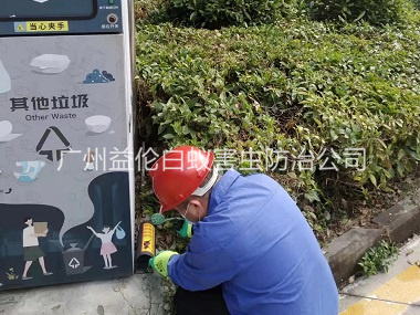 化龙镇施药灭鼠工程