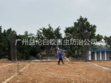 石壁地基新建预防白蚁工程