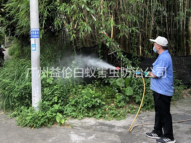 广州有害生物消杀工程