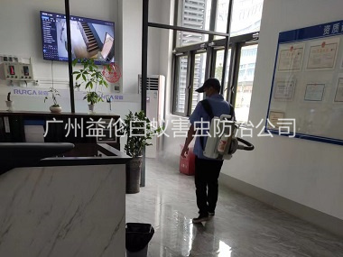 石碁室内杀灭蚊蝇工程