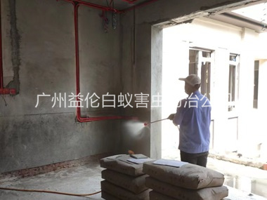 钟村装修预防白蚁工程